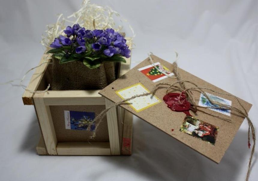 Выставка фиалок