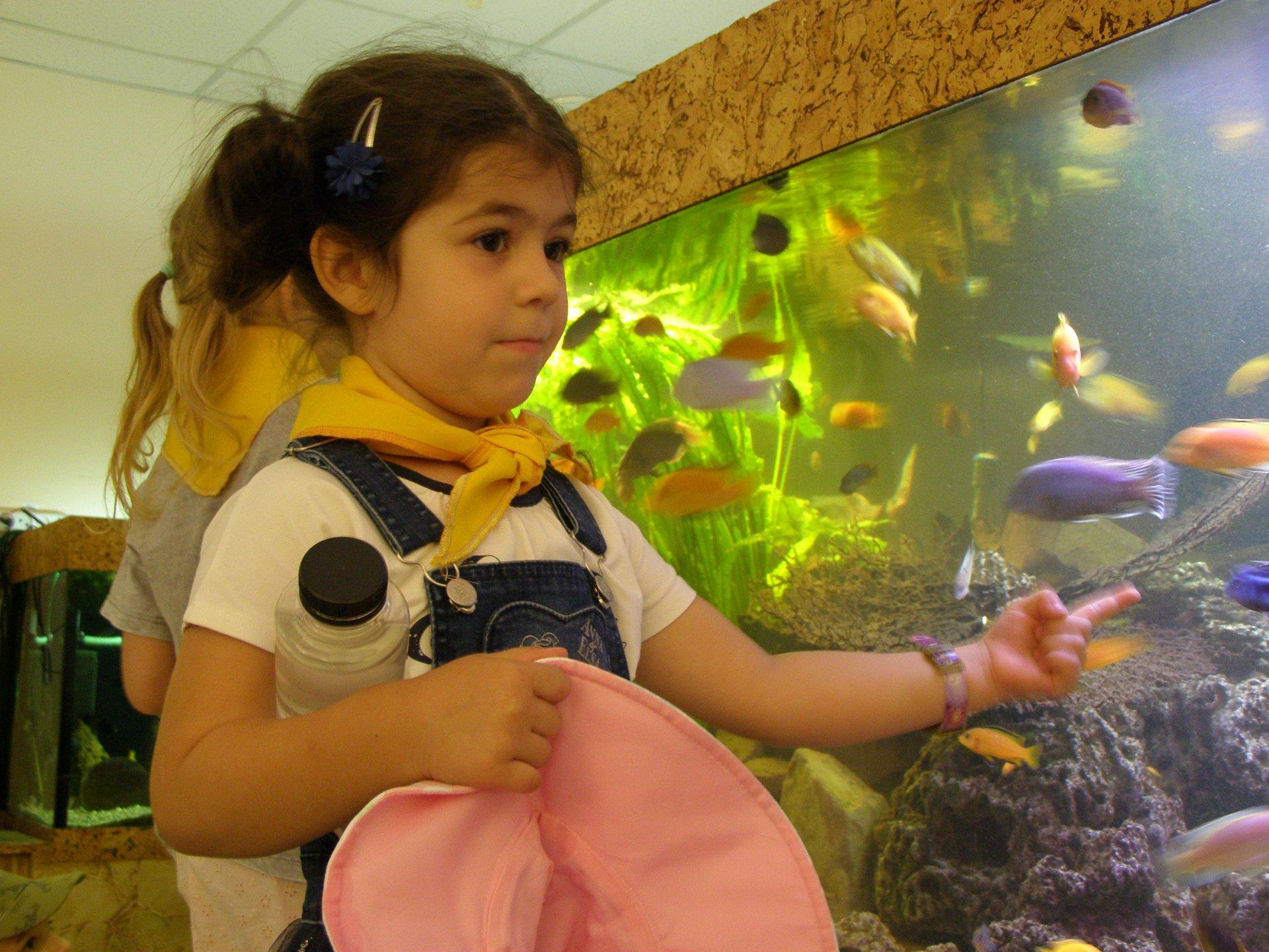 Дом природы