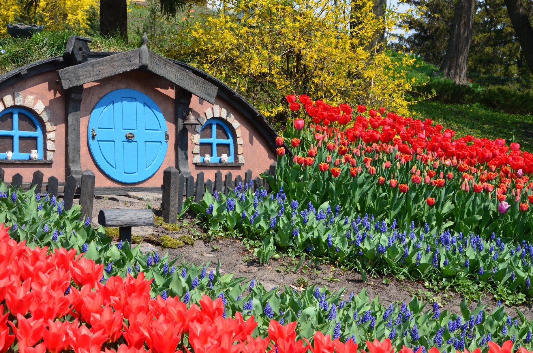 Выставка тюльпанов 2019