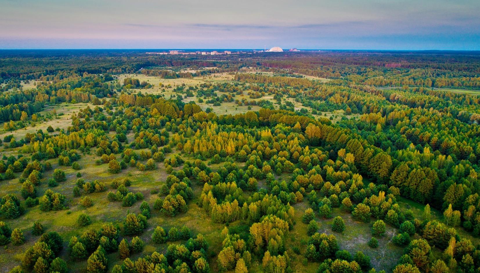 Чернобыль с высоты Чернобыльская зона