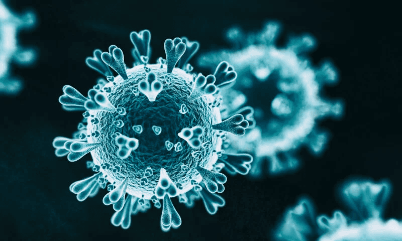 коронавирус