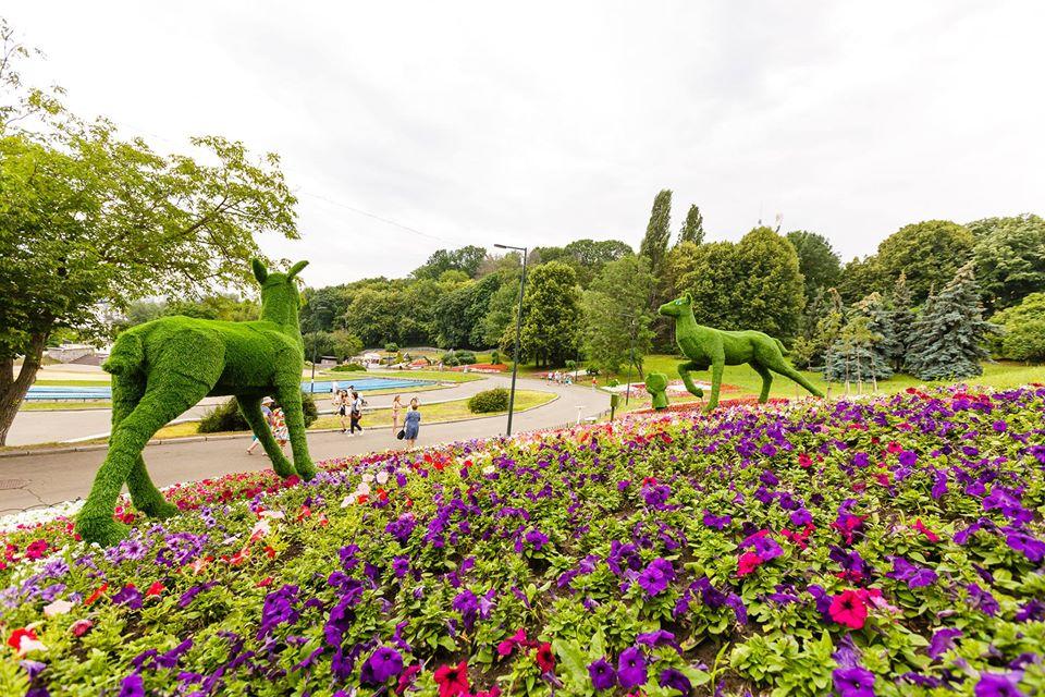 співоче поле
