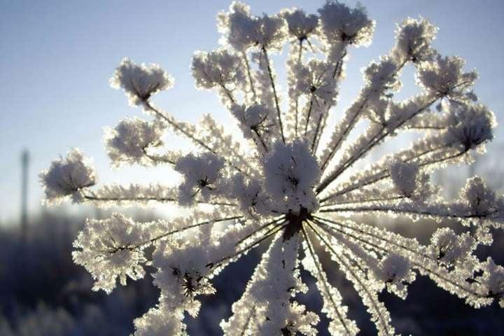 зима, природа