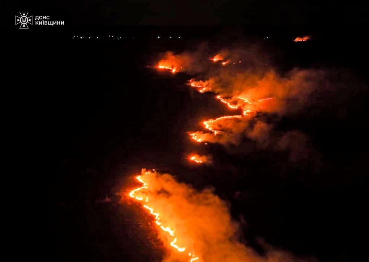 Пожежі в екосистемах Київщини