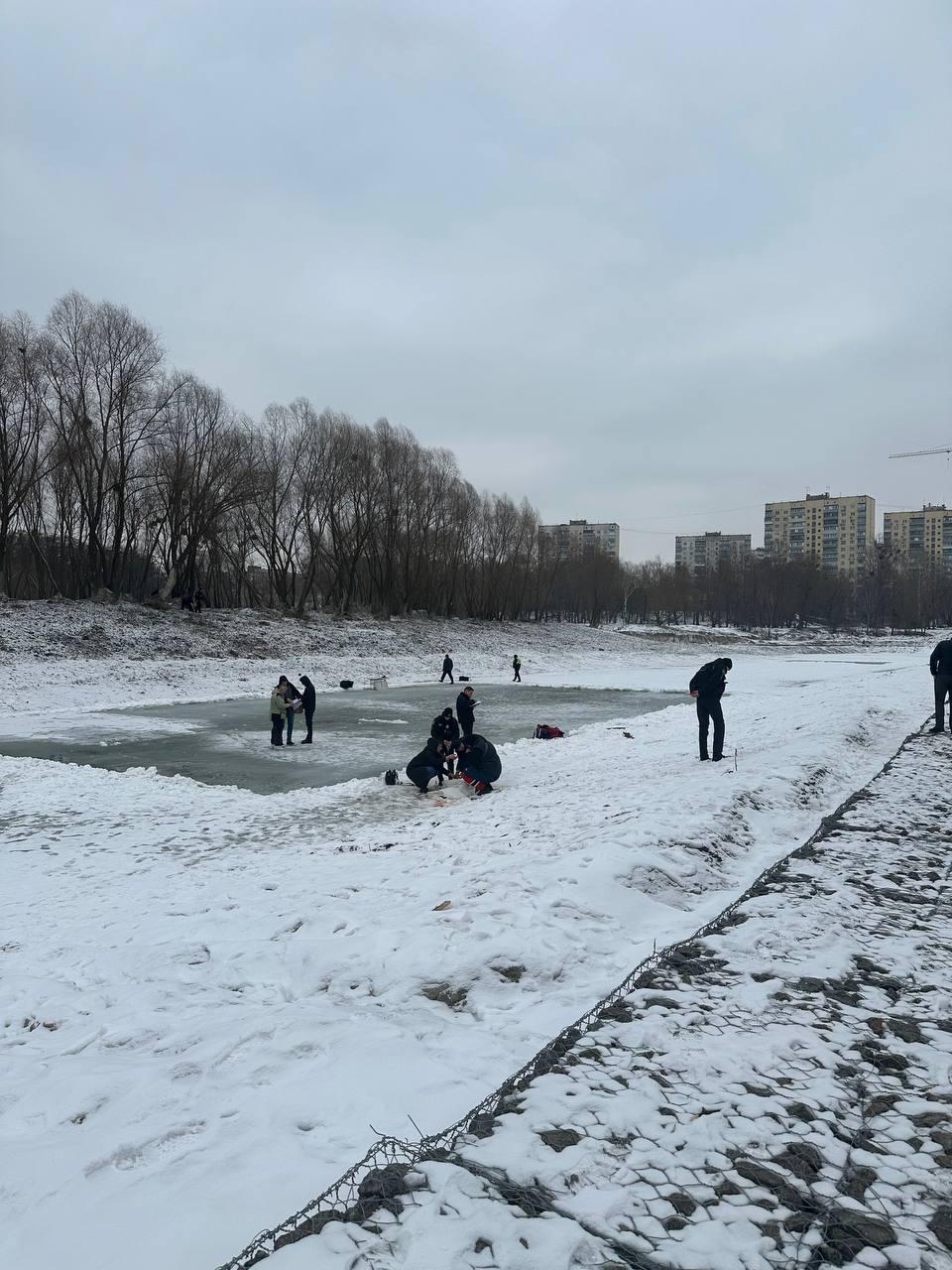 собаки з кульовими пораненнями біля озера синє