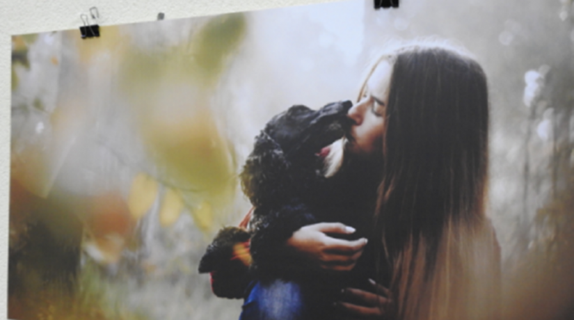 В Киеве открылась фотовыставка ко Дню защиты животных