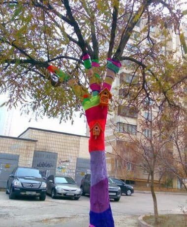 Деревья в шарфах