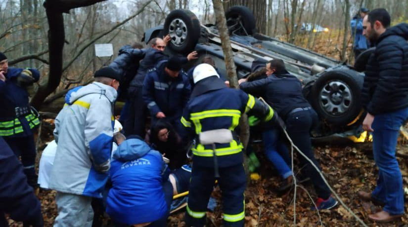 В Киевской области в результате столкновения с лосем перевернулся автомобиль