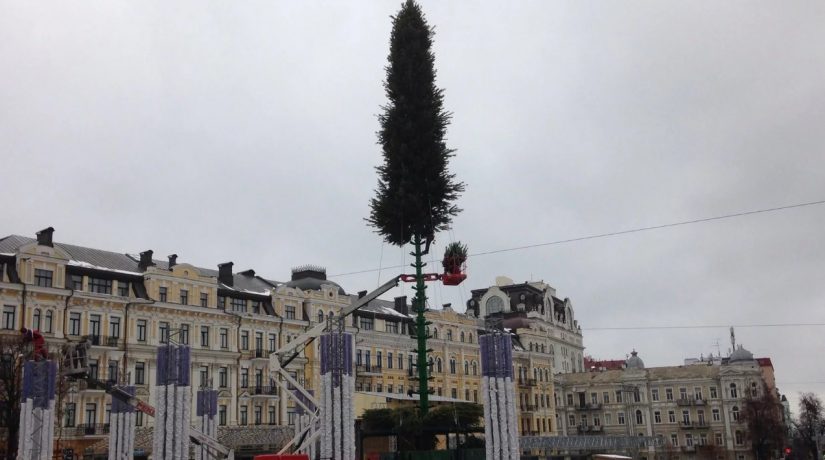Стоимость главной елки на Софийской площади составит 2,7 млн грн