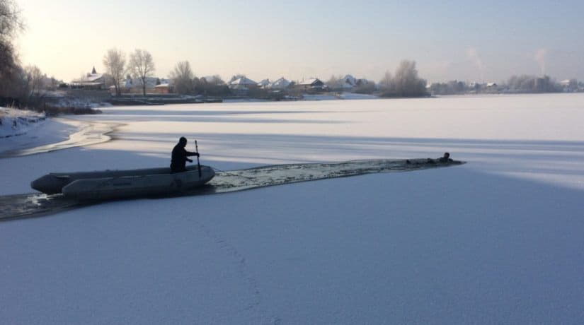 В Вышгородском районе спасатели освободили четырех лебедей из ледяной ловушки