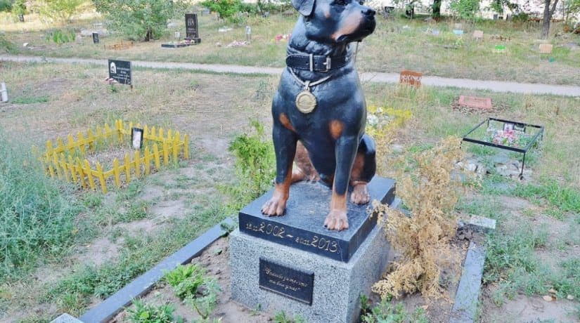 В Киеве откроется единое муниципальное кладбище домашних животных