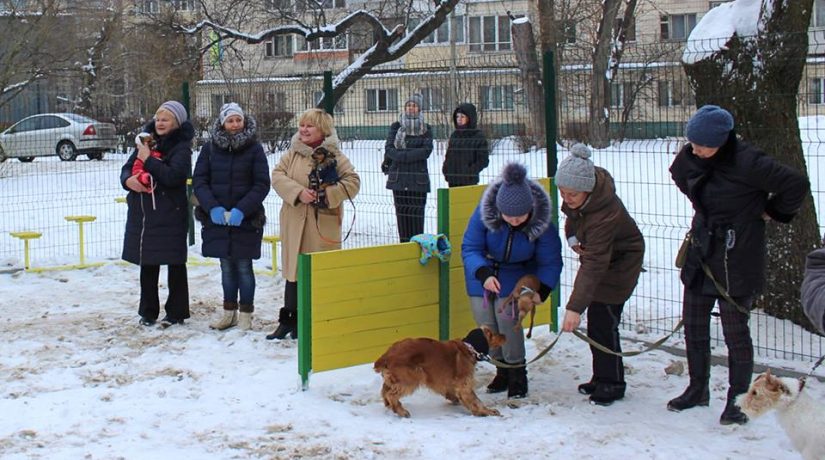 В Киеве появилась новая площадка для выгула и дрессировки собак
