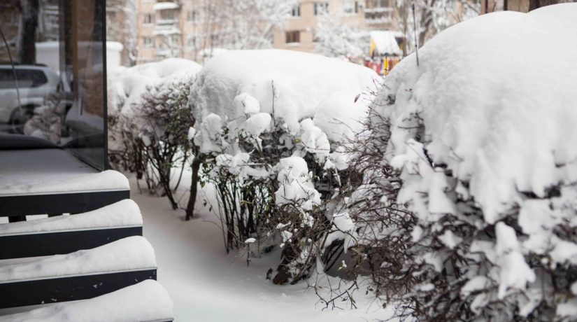 В Киеве за день составлено более 200 предписаний за неубранный снег