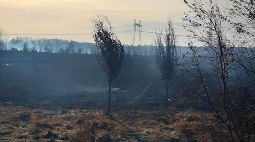 В Киевской области спасатели за сутки потушили 16 возгораний сухой травы