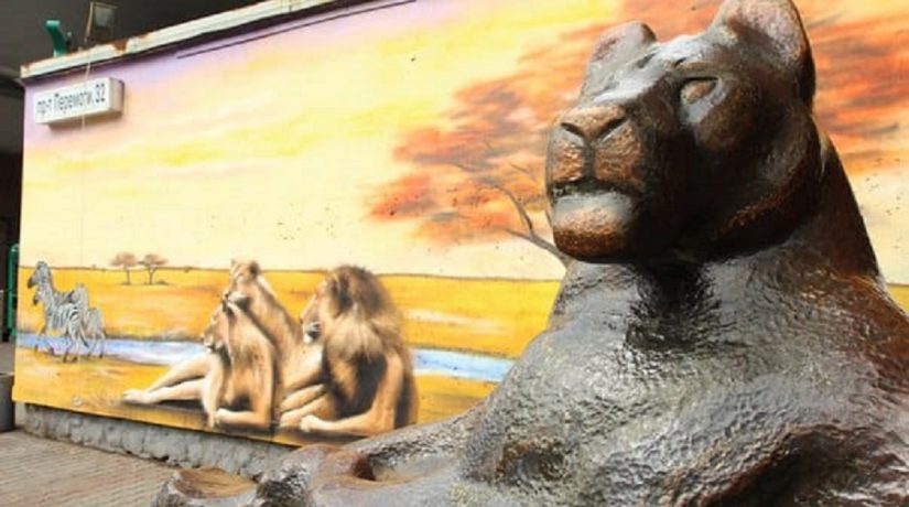 Скульптуры льва и бизона у входа в зоопарк перенесут в другое место