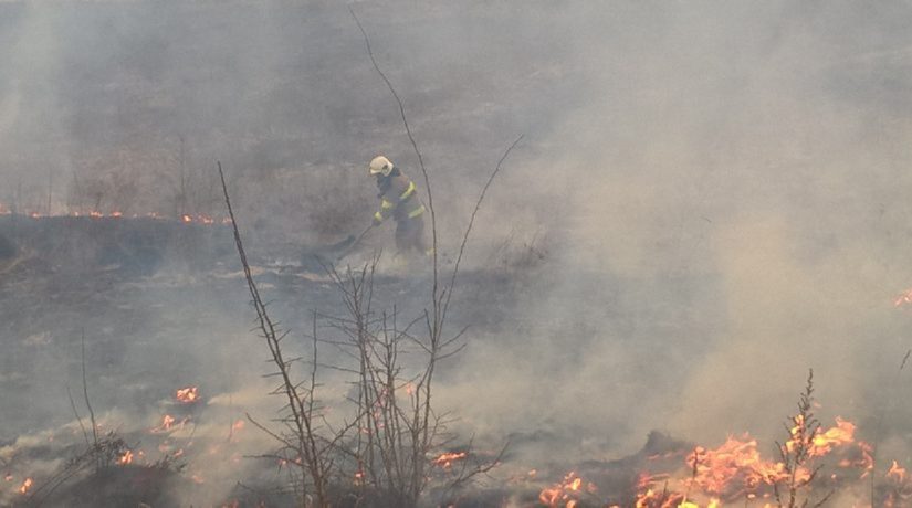 В Дарницком районе выгорел сухостой на площади 2500 квадратных метров