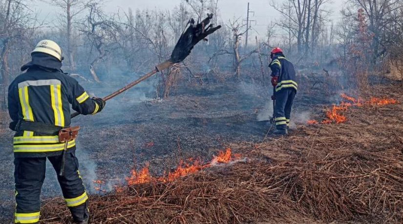 В Киевской области за сутки потушили более ста возгораний травяного настила
