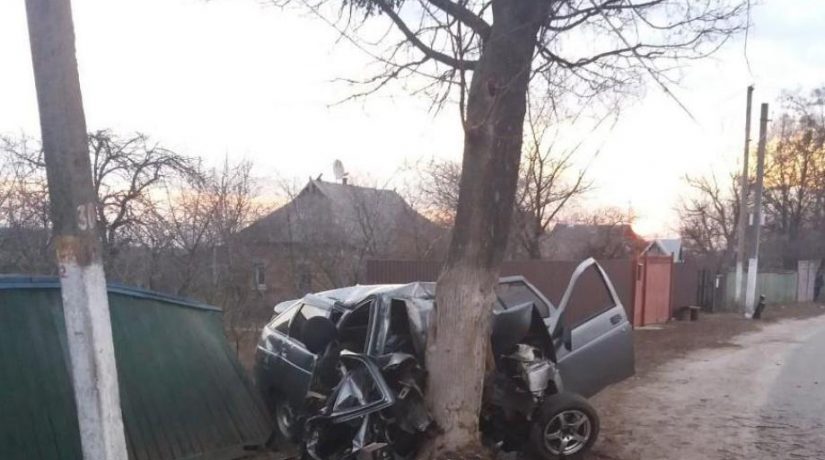 В Киевской области автомобиль врезался в дерево, погибли пять человек