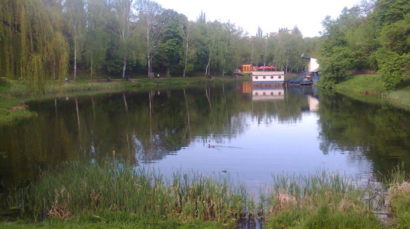 В этом году запланировано благоустройство озер в парке «Нивки»