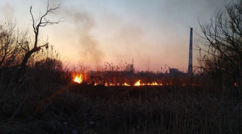 Столичные спасатели за сутки потушили 28 возгораний сухой травы