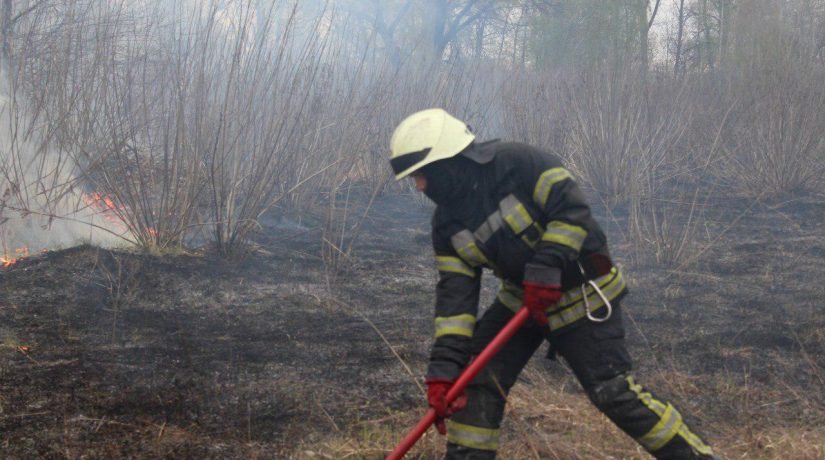 На острове Муромец ликвидировали пожар травяного настила