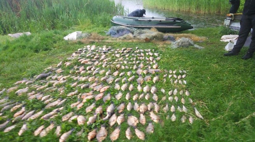 На Каневском водохранилище задержали браконьеров с 100 кг рыбы