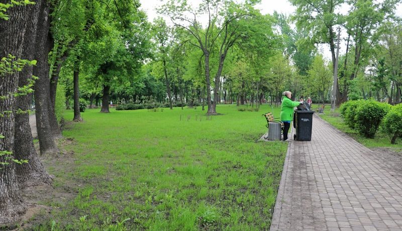 В парке на улице Винницкой высадили живую изгородь
