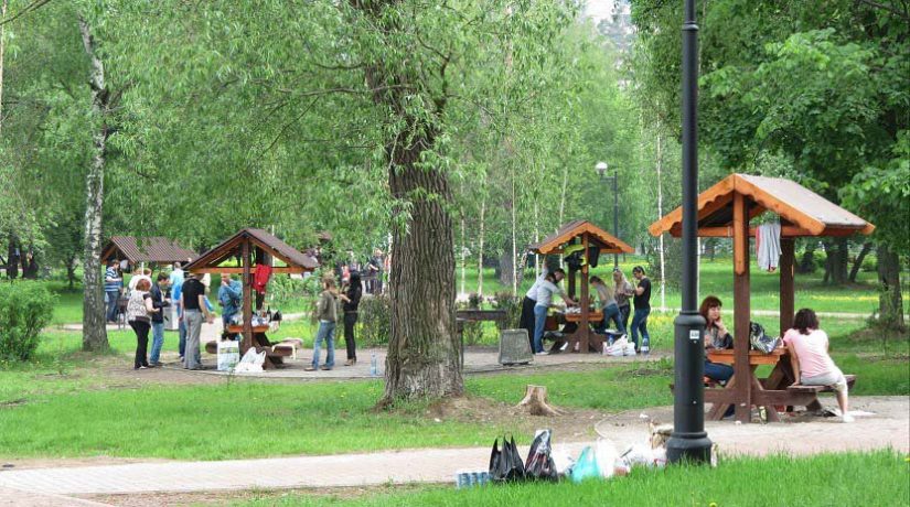 В Киеве обустроено более 40 зон отдыха для любителей пикников