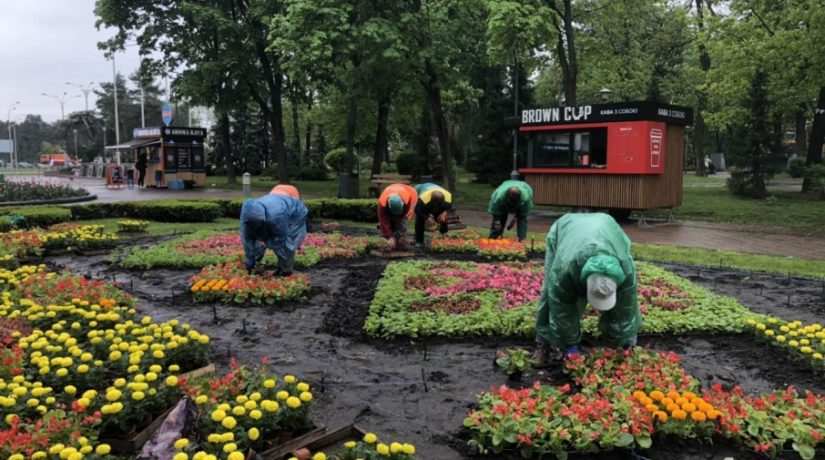 В парке «Победа» высадили около пяти тысяч цветов