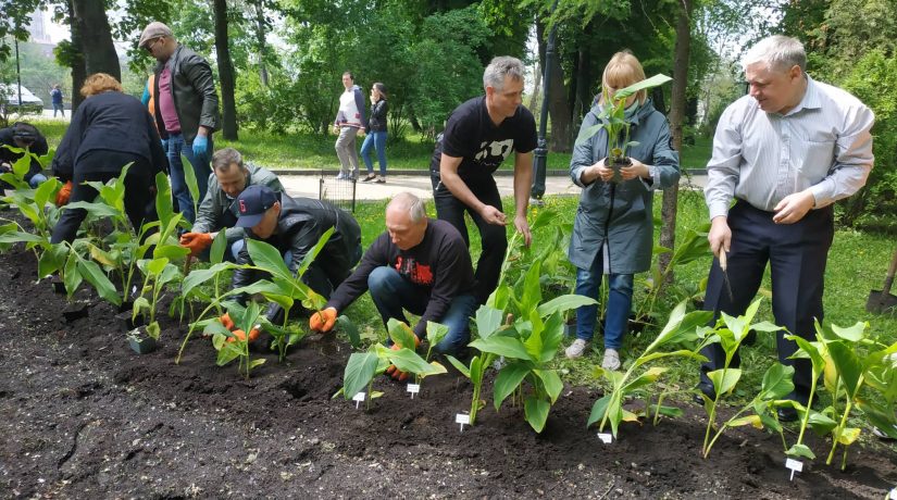 К годовщине ареста Олега Сенцова прошла акция «Сажайте цветы, а не людей»