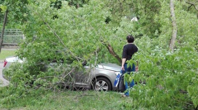 В Святошинском районе дерево упало на автомобиль и заблокировало проезд