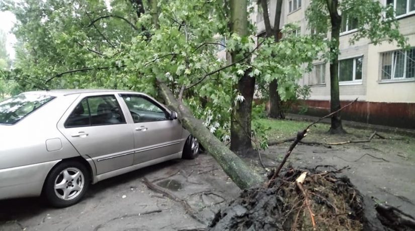 Непогода в Киеве: ветер срывает крыши, валит деревья и бигборды