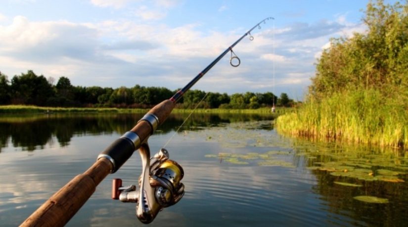 В речке Рось запретили ловить рыбу до 21 июня