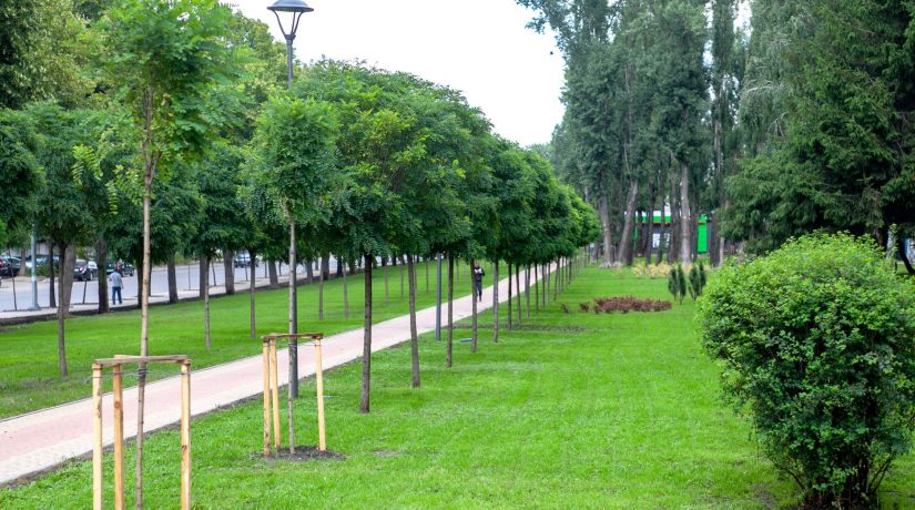 В Шевченковском районе открылся обновленный парк «Веселка»