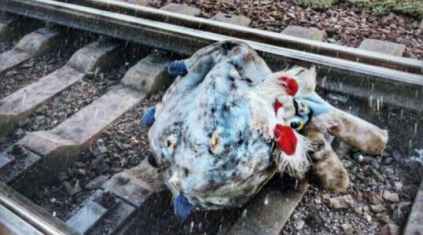 Плюшевая игрушка на рельсах напугала машиниста поезда «Интерсити+»