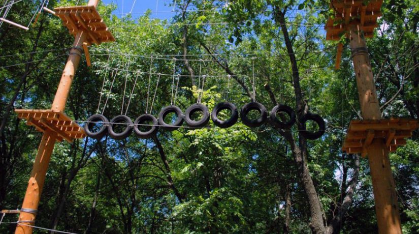 Инвестор обустроит веревочный парк в Дарницком районе