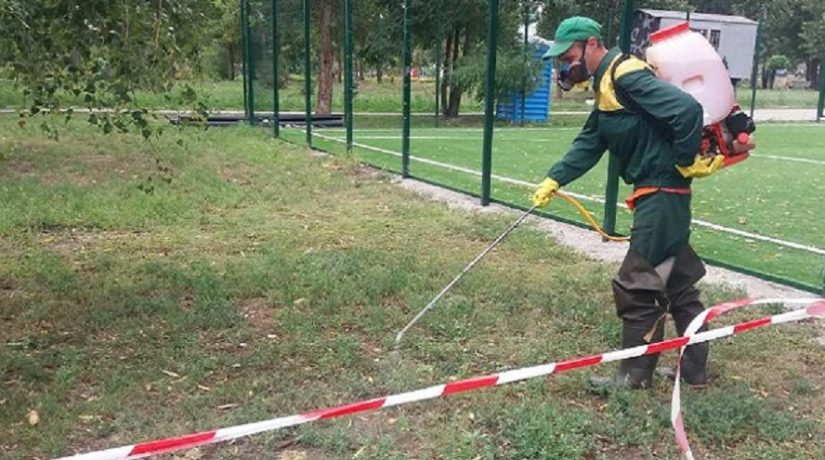 В Днепровском районе обработали парк экологичными препаратами против амброзии