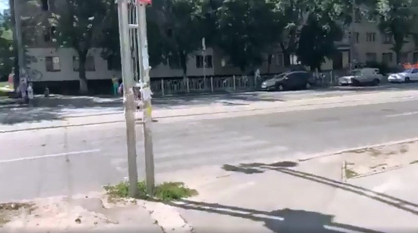 В Днепровском районе водитель обругал на переходе женщину и застрелил ее собаку