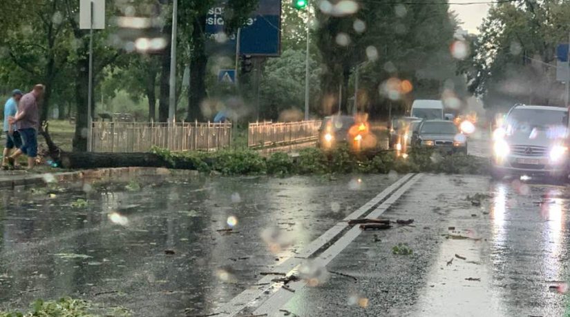 Ураган в Киеве валит деревья