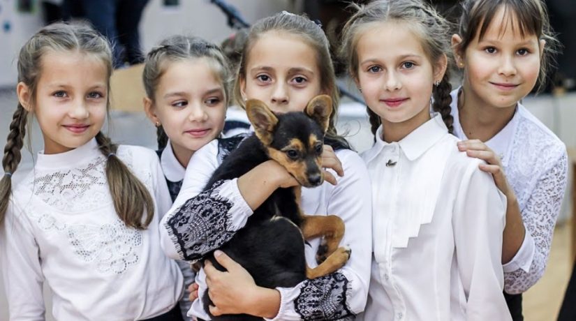 В Украине пройдет самый массовый урок доброты ко Дню защиты животных