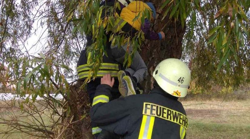 Под Киевом мальчика с дерева пришлось снимать спасателям