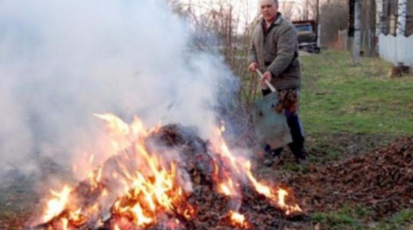 Киевлянам напомнили о вреде сжигания листьев