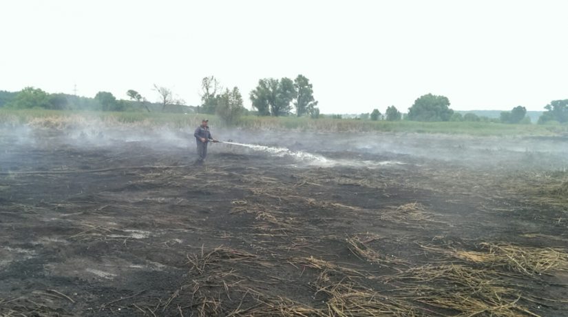 В Голосеевском районе ухудшилось состояние воздуха из-за горения торфяников
