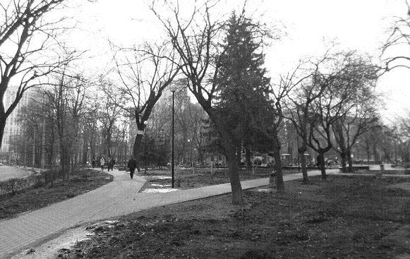 Лукьяновский парк, сейчас им. Котляревского, современный вид. Здесь проходили «разрешенные» митинги киевских трамвайщиков в 1919 г.