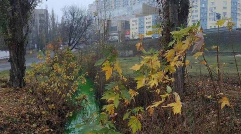 Вода в реке Дарница стала зеленого цвета