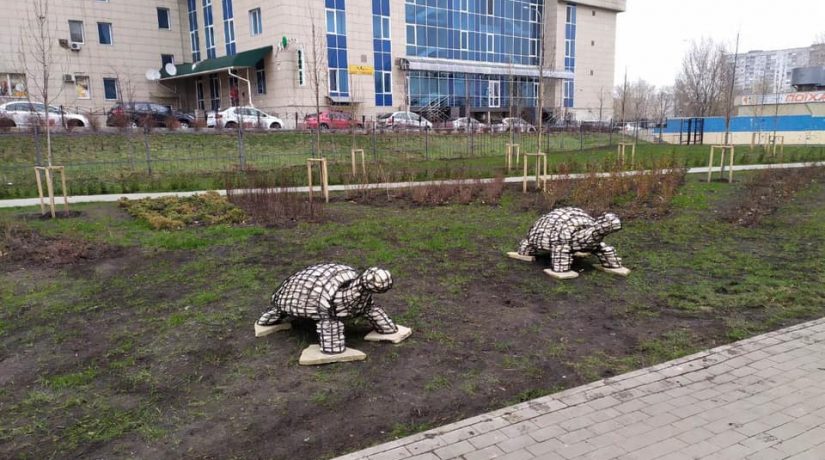 В сквере на улице Шумского появились черепахи
