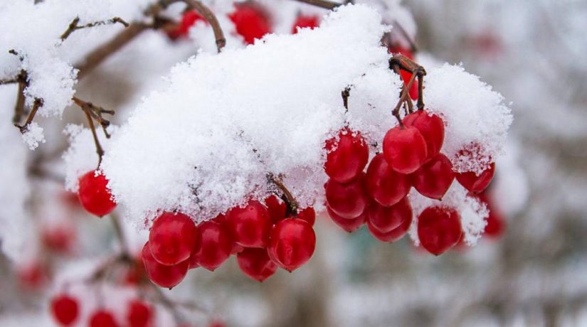 Синоптики прогнозируют ухудшение погодных условий в Киеве – снег, гололед