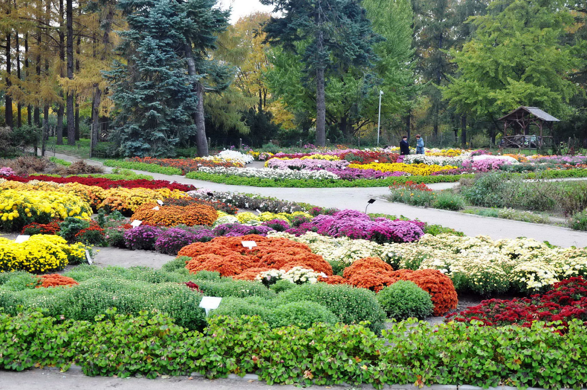 Фото красивых парков