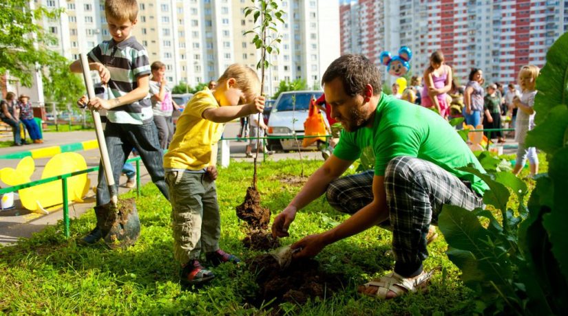 Киевляне могут присоединиться к флешмобу «Миллион деревьев за 24 часа»