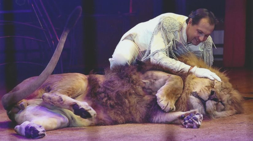 Куда передадут 96 животных из киевского цирка